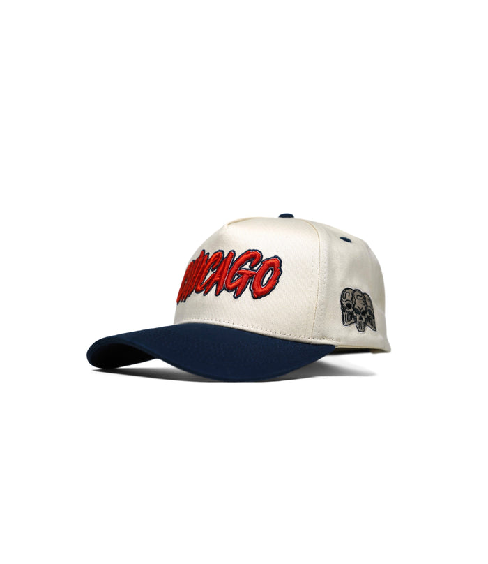 CHICAGO HAT (LIMITED DROP) – – Dead Threads Apparel