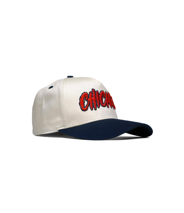 CHICAGO HAT (LIMITED DROP) – – Dead Threads Apparel