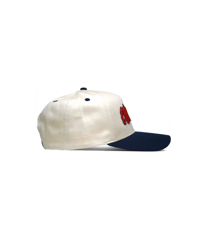 CHICAGO HAT (LIMITED DROP) – – Dead Threads Apparel