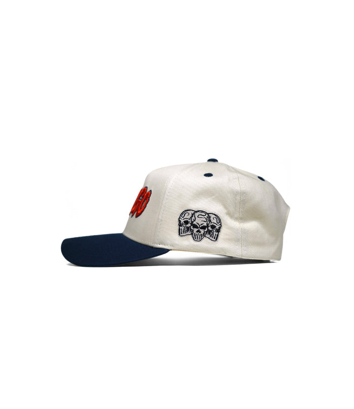 CHICAGO HAT (LIMITED DROP) – – Dead Threads Apparel