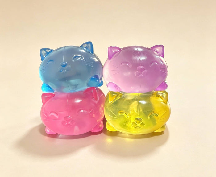 Clear Jelly Cat Squishy