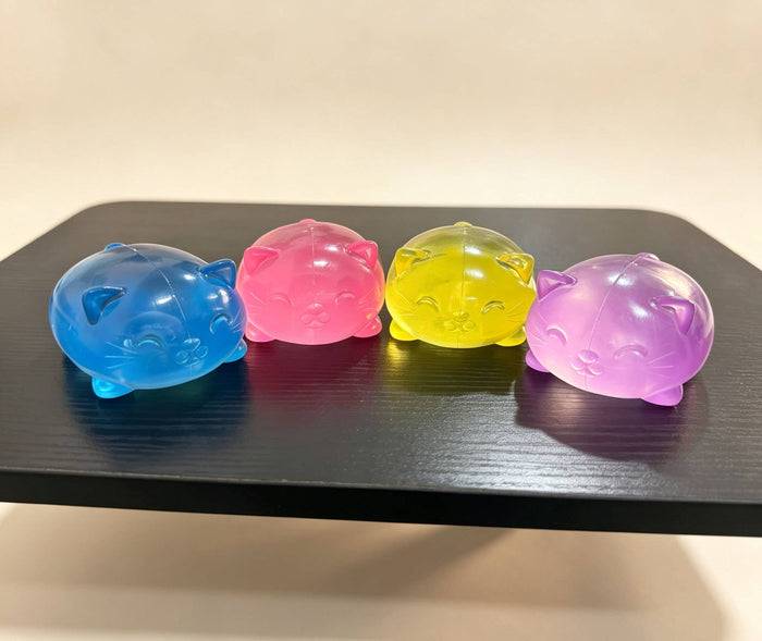 Clear Jelly Cat Squishy