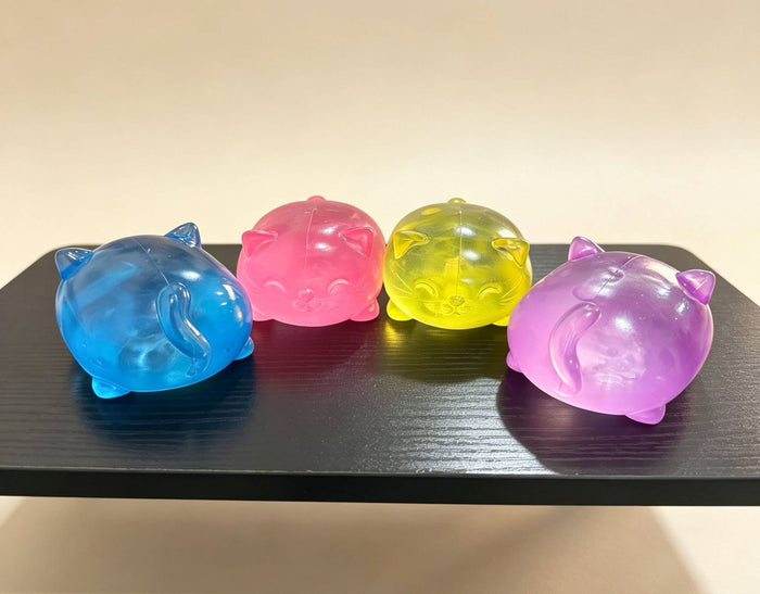 Clear Jelly Cat Squishy