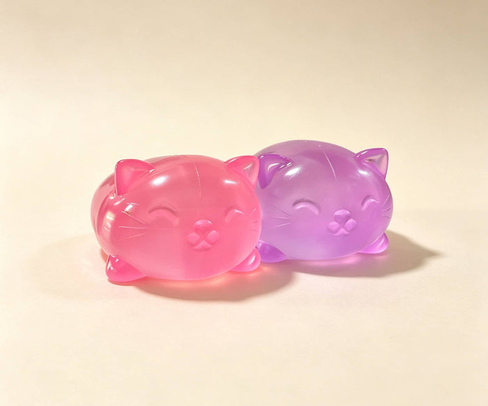 Clear Jelly Cat Squishy