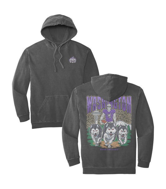 WASHINGTON FOOTBALL - HOODIE – Hoodie – Dead Threads Apparel