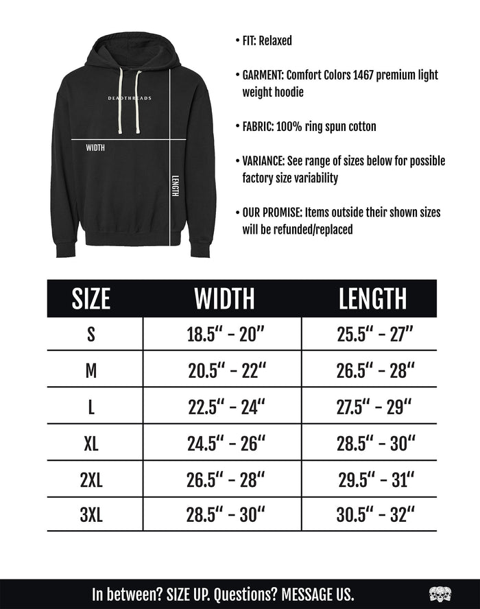 WASHINGTON HOCKEY - LIGHTWEIGHT HOODIE – Lightweight – Dead Threads Apparel